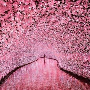 Meet your Posher, Miki